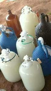 Fresh Palm wine for sale Type CIF Purity Pure And Fresh Origin Best Palm Trees Flavor Sweet, Delicious, And Organic Taste Profile Natural Tropical Taste