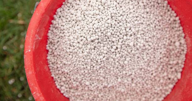 Top 8 Fertilizers Suppliers in United States in Quarter 3 of 2025