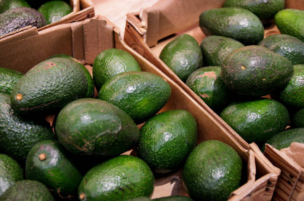 Top 10 Avocado Suppliers in Austria in Year 2025: A Data-Driven Guide for Global Buyers