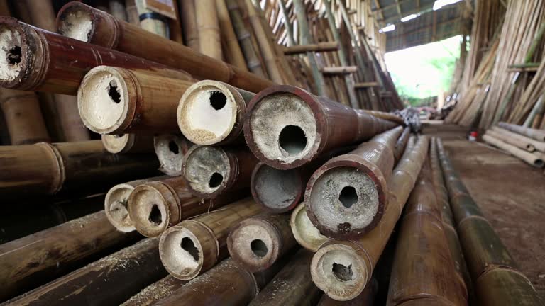 Top 9 Bamboo Suppliers in India in July 2025: Urgent Market Update You Can’t Miss