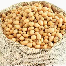 Discover the Top 5 Soybean suppliers in Thailand - 5