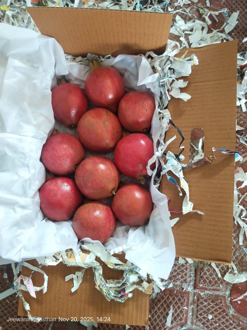Packaged Export Quality Pomegranates