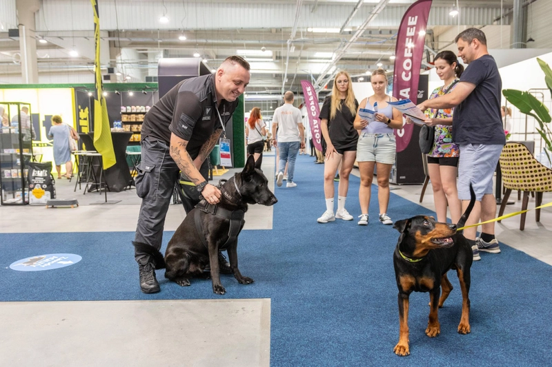 ANIMALS’ & VETERINARY DAYS Spotlight: B2B Essentials - 2