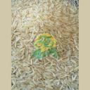 1121 Parboiled Sella Mazza Basmati Rice AGL 8.3 MM 10% Max Moisture – Extra Long Grain | Premium Export Quality | Pakistan Origin | Private Label Available