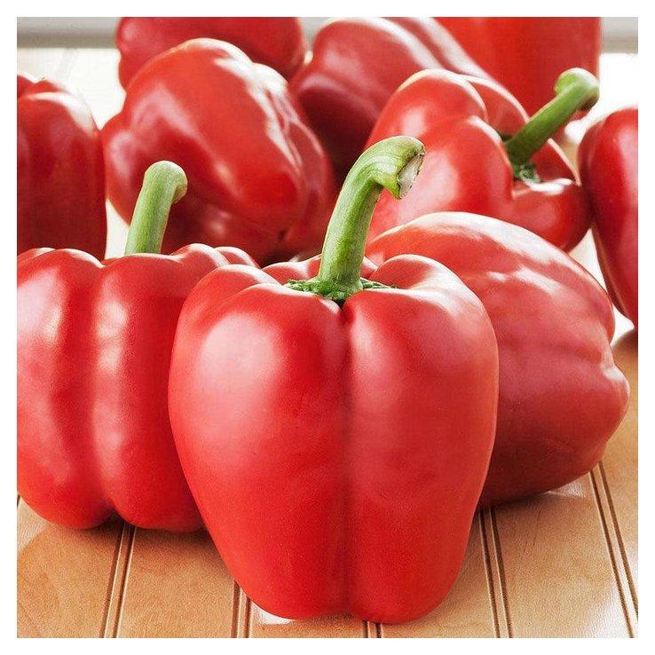 Vegetable Fresh Capsicum / Fresh Capsicum / Fresh Bell Pepper