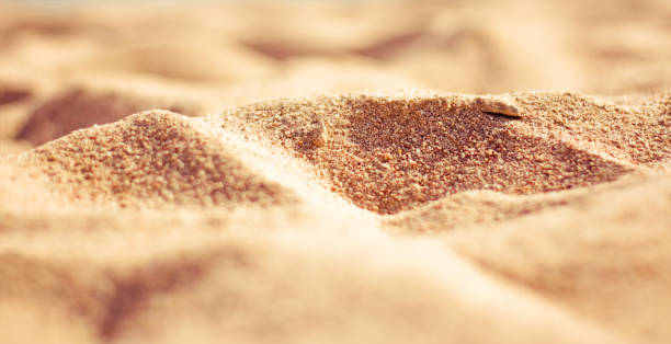 Your Expert Guide to Procuring Top-Tier Sand: Top 5 Sand Suppliers in United Arab Emirates in November 2025