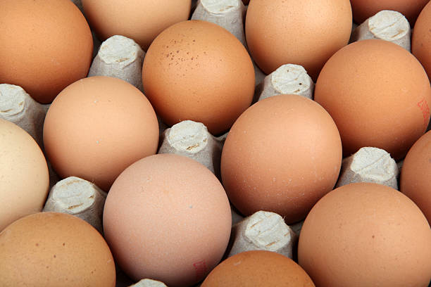 A Comprehensive Guide to Sourcing High-Quality Eggs: Top 3 Eggs Suppliers in Poland in June 2025