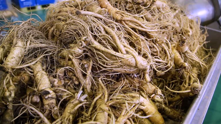 Your Expert Guide to Procuring Top-Tier Ginseng: Top 4 Ginseng Suppliers in Malaysia in Quarter 3 of 2025