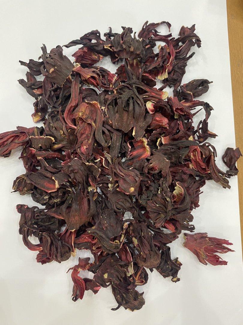 Hibiscus