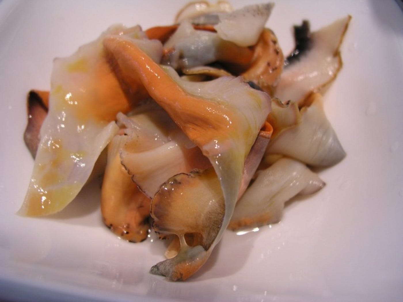 Fresh Conch seafood / abalone