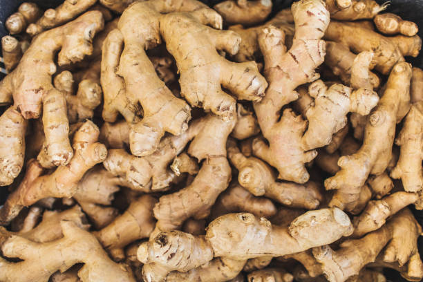 Top 10 Ginger Suppliers in Thailand in June 2025