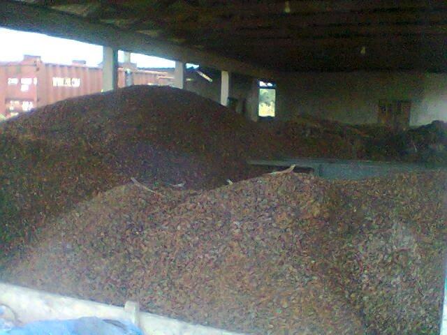 ACTIVATED PALM KERNEL SHELL