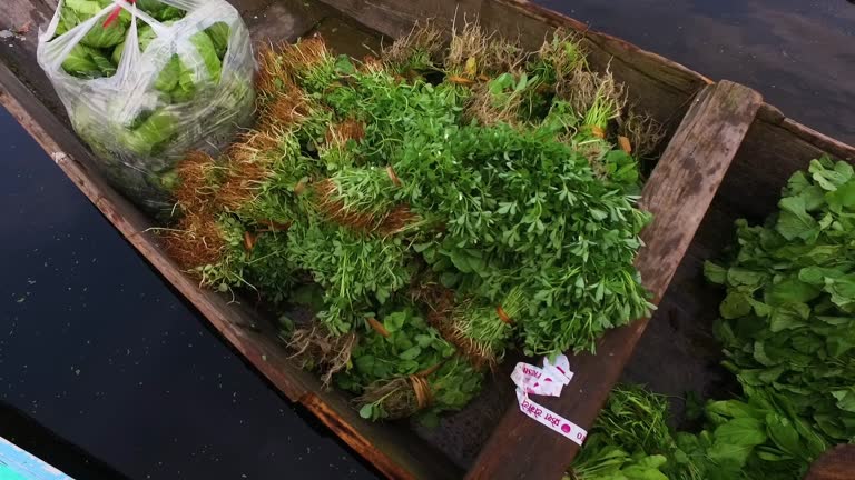 Top 6 Herbs Suppliers in United Kingdom in Year 2025