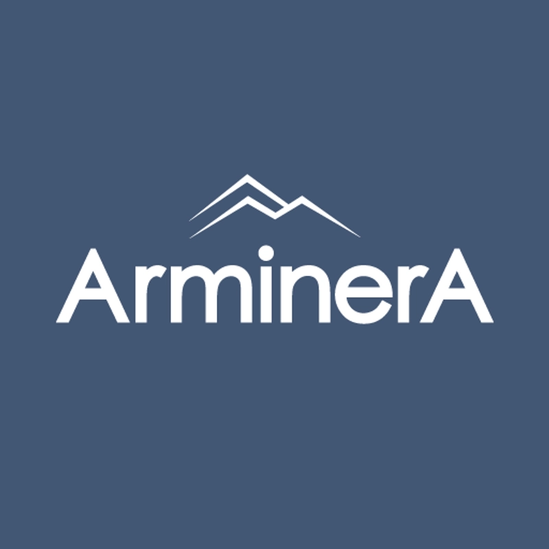 Inside Arminera: B2B Key Insights