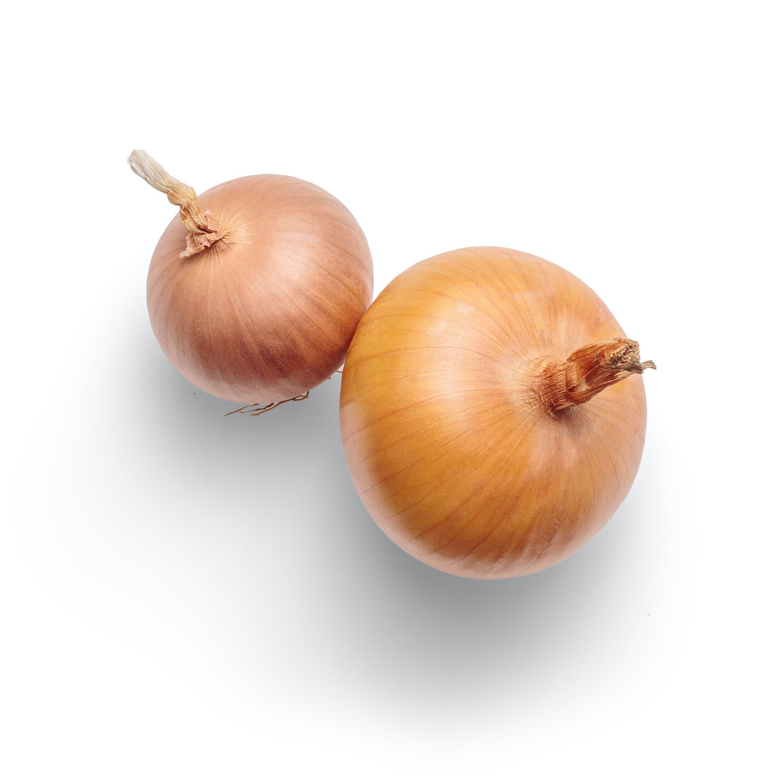 Meet the Top 3 Fresh Onion Suppliers in South Africa - 2