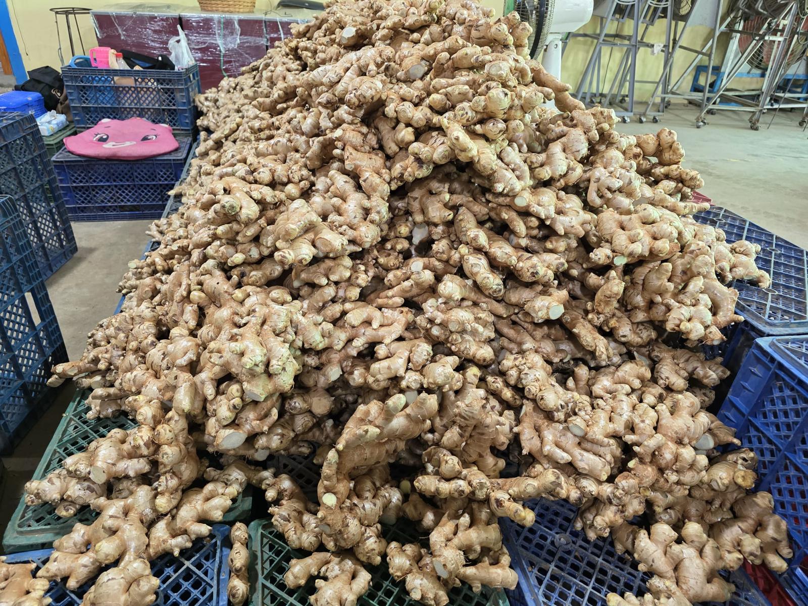 Fresh Ginger
