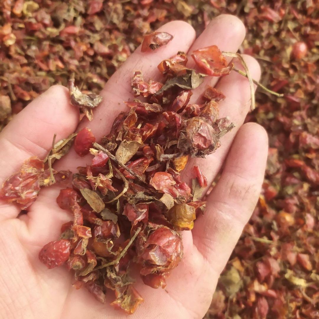 Rose Hip Dried Export