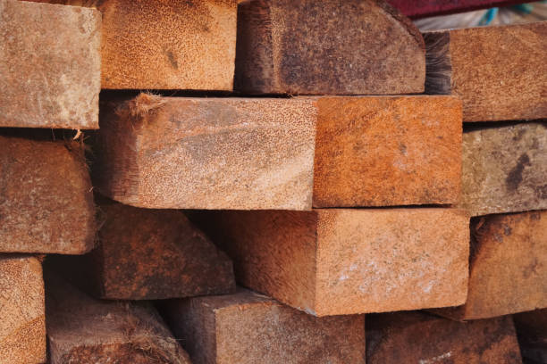 Your Expert Guide to Procuring Top-Tier Wood: Top 9 Wood Suppliers in Canada in Quarter 3 of 2025