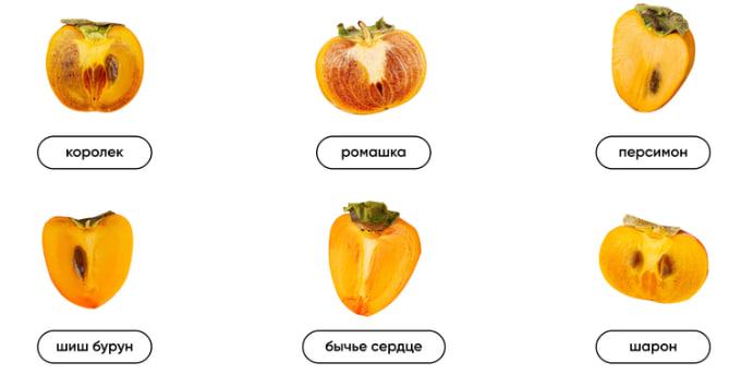 Persimmon Products