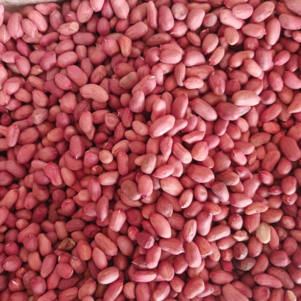 Peanuts and export products
