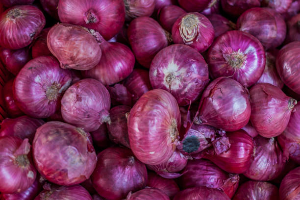 Top 7 Fresh Onion Suppliers in Spain in 2025: Urgent Market Update You Can’t Miss