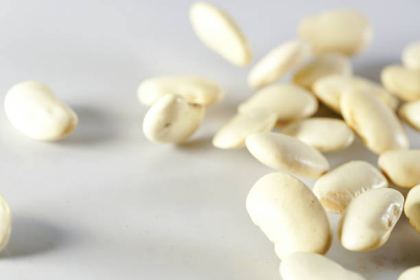 Top 10 Bean Suppliers in Austria in July 2025 – Market Shakeup, New Risks & Smarter Sourcing