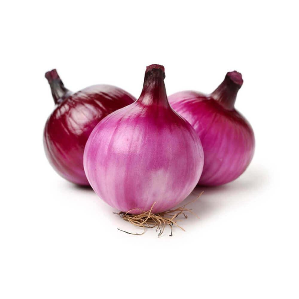 Top Selling Premium Quality Organic New Crop Fresh Red Onion Non-Peeled at Factory Price