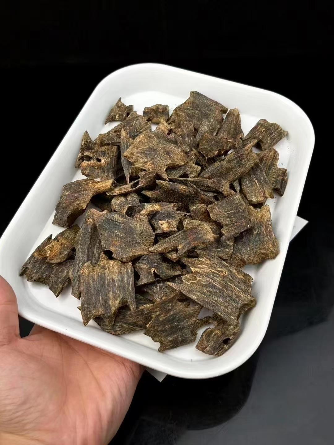 Hainan Agarwood Cultivation