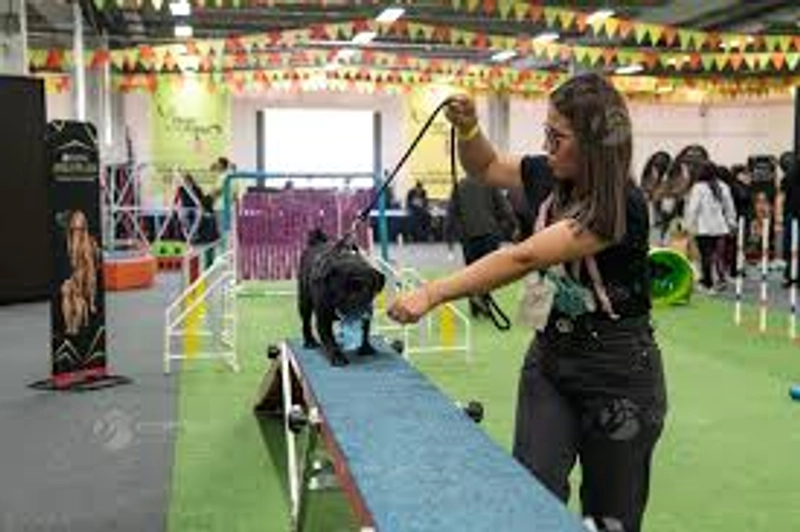 Why Attend EXPOPET COLOMBIA? B2B Intro - 4