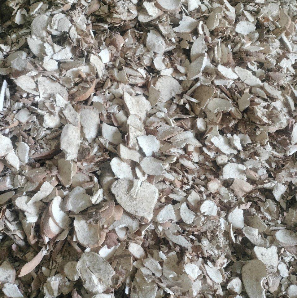 Cassava 10KG 送料込み Cassava 10KG 送料込み 楽天市場】cassavaの通販