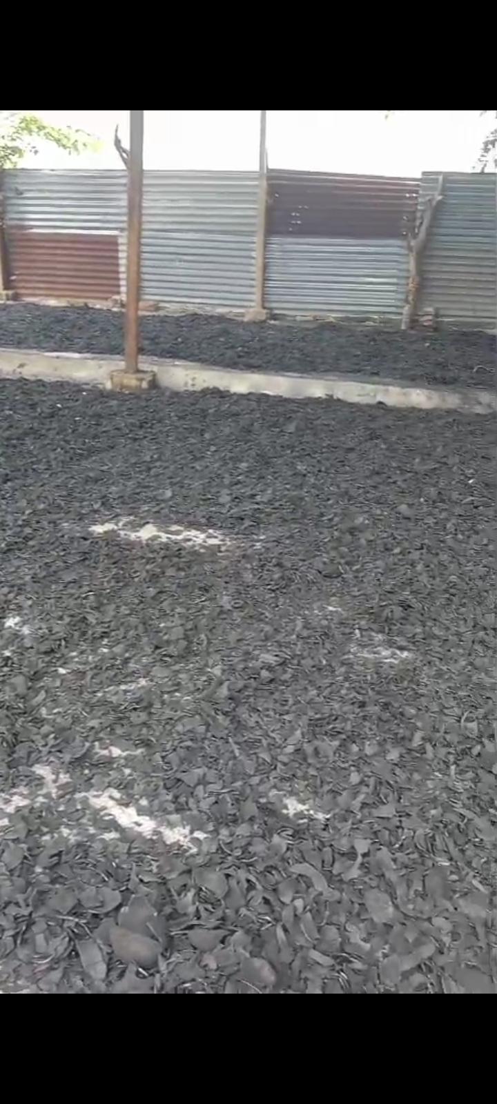 Coconut Shell Charcoal