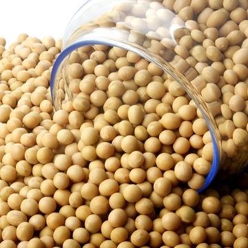 GMO Soybean Seeds Dried Bulk