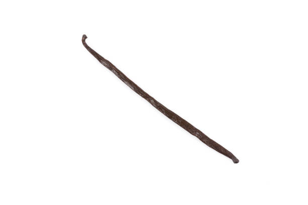 Your Expert Guide to Procuring Top-Tier Vanilla: Top 5 Vanilla Suppliers in Indonesia in Quarter 3 of 2025