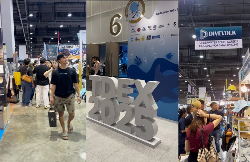 Thailand Dive Expo Revealed: B2B Opportunity - 3