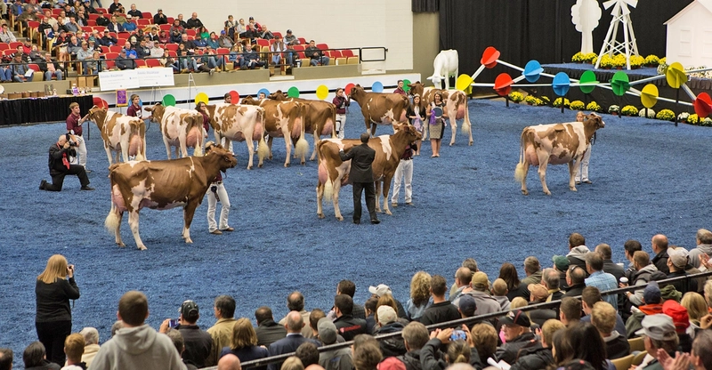 World Dairy Expo Spotlight: B2B Essentials - 2