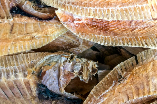 Top 9 Dried Fish Suppliers in Spain in Quarter 3 of 2025