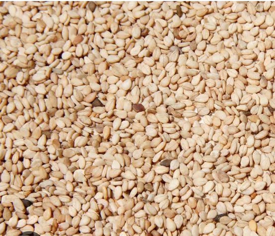 Premium Sesame Seeds