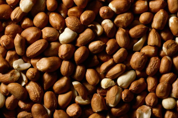 Top 4 Peanuts Suppliers in Poland in August 2025: Navigating a Rapidly Evolving Market