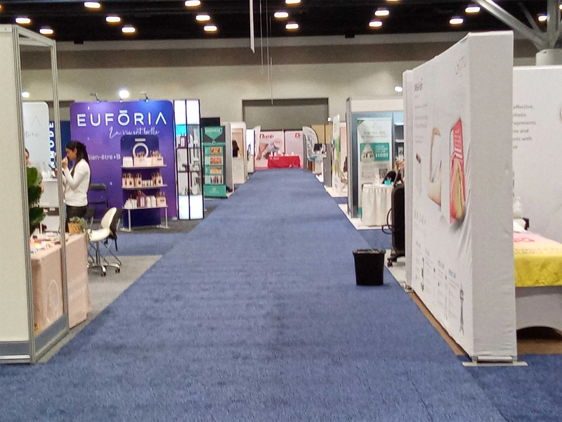 Inside ESI Show Vancouver: B2B Key Insights - 1