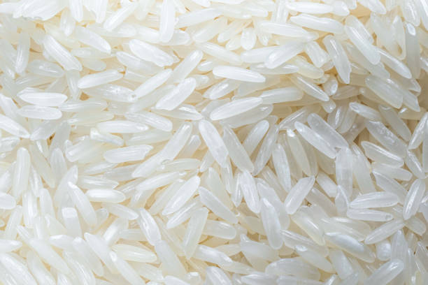 Top 8 Jasmine Rice Suppliers in India in July 2025