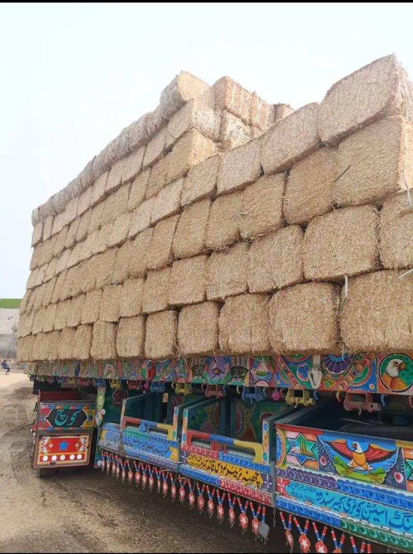 Agricultural Products Export
