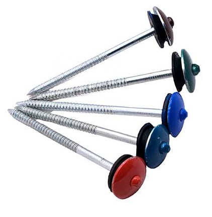 Wide Umbrella Head