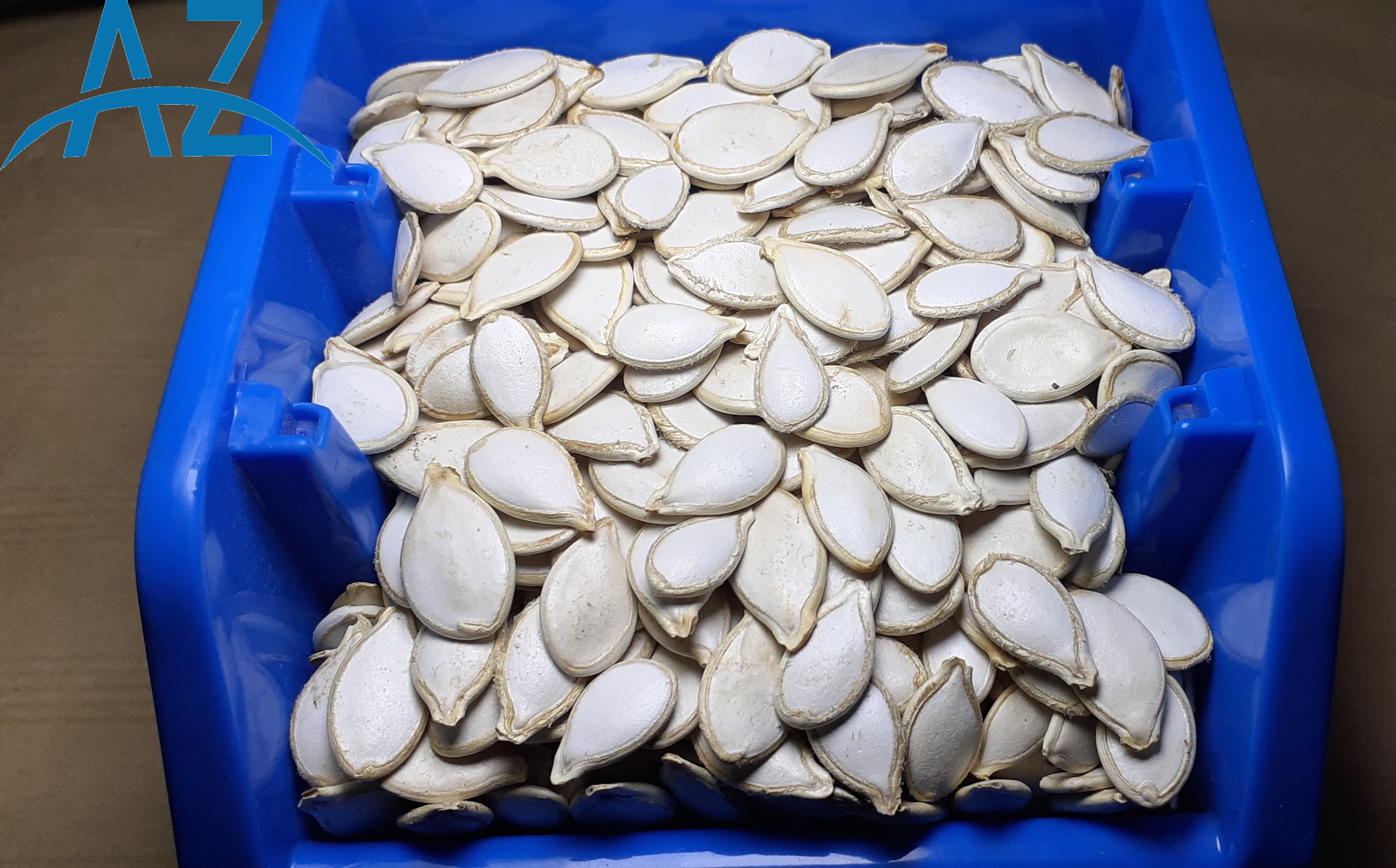 Pumpkin Seed