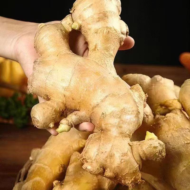 Get to Know the Top 4 Fresh Ginger Suppliers in South Africa - 1