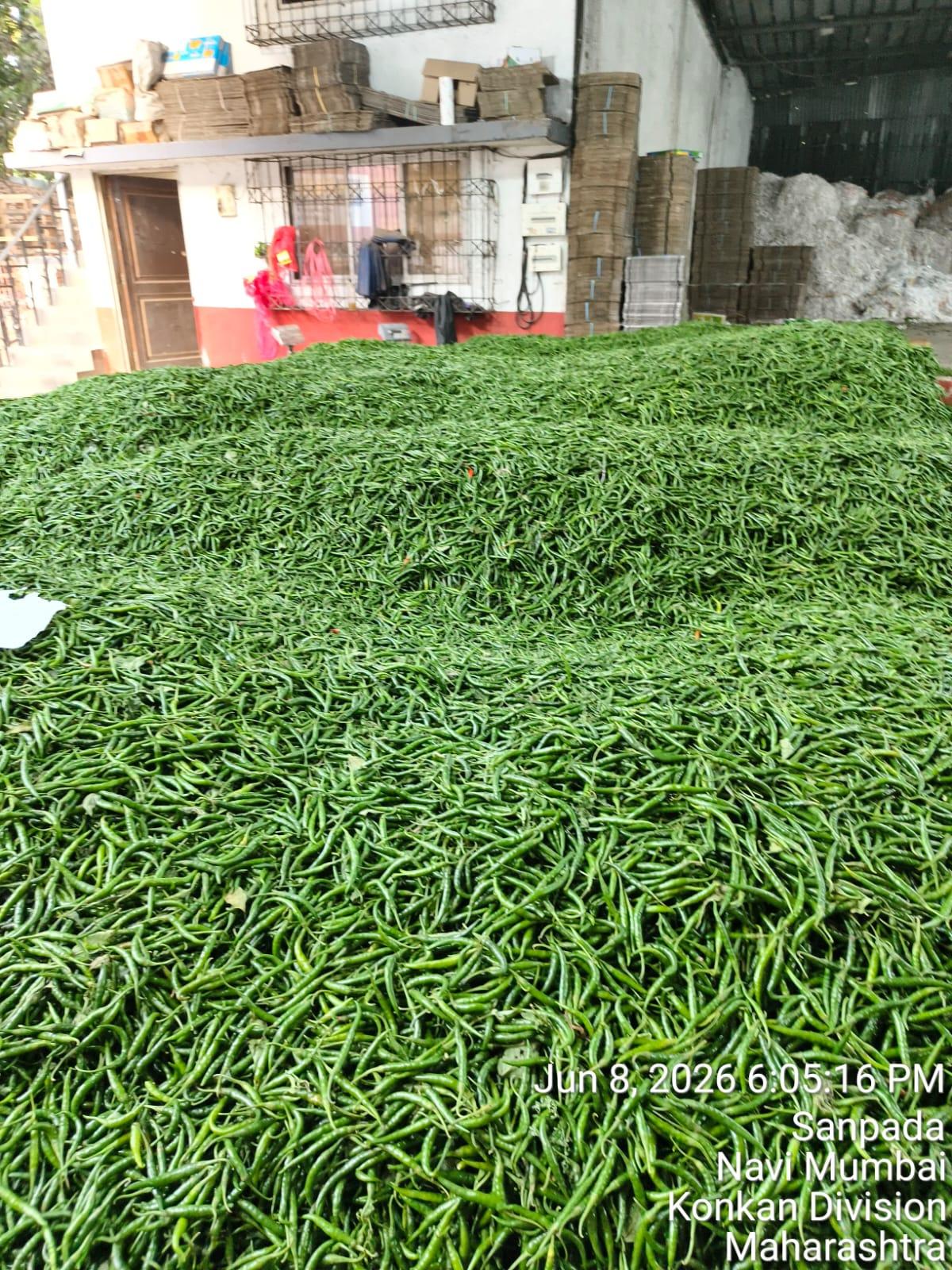 Top 10 verified Fresh Vegetables suppliers in India - 10