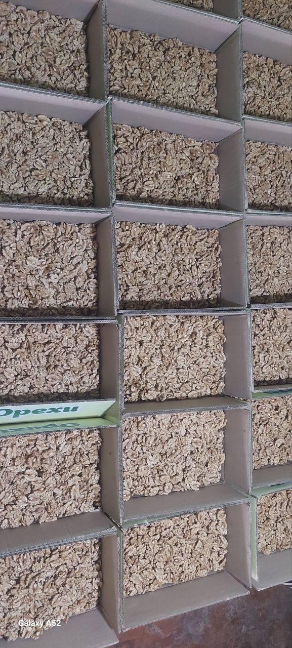 Walnut Product