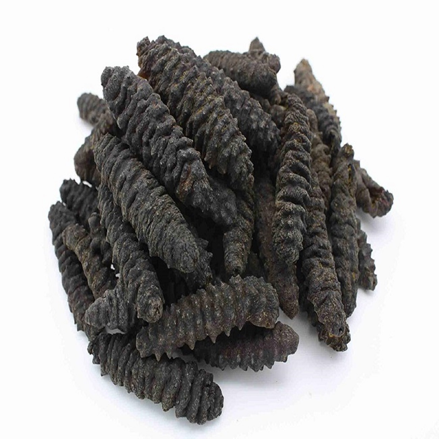 Best selling Dried Sea Cucumber for sale Sea Cucumber Dry Sea Cucumber