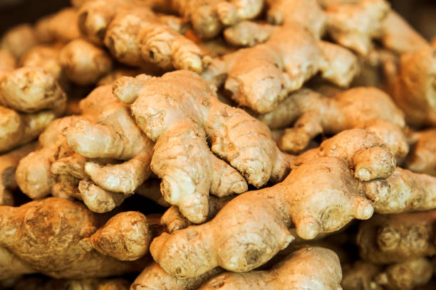 Top 8 Fresh Ginger Suppliers in South Africa in May 2025