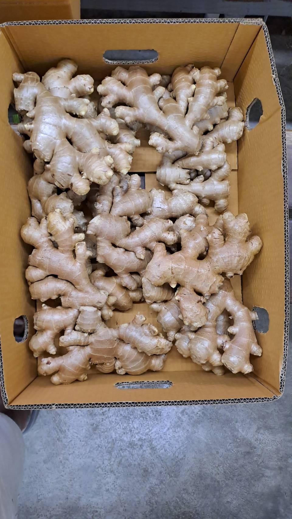 Fresh Ginger Form Whole Delivery Form Bag, Sacks Freshness Level Dried, Fresh Features Gluten-Free, Halal, Kosher, Organic