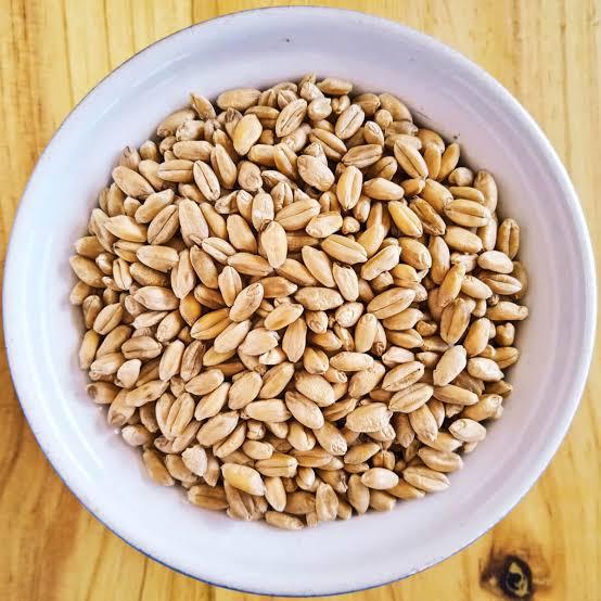 soft wheat grains